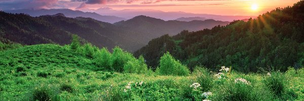 Góry, Roślinność, Las, Chmury, Wschód słońca
