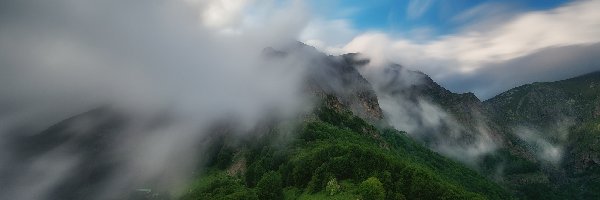 Mgła, Las, Drzewa, Góry
