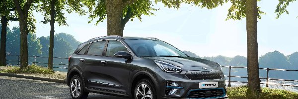 Samochód, Elektryczny, Kia e-Niro