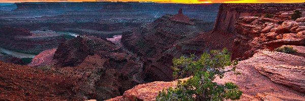 Drzewo, Rzeka Kolorado, Stany Zjednoczone, Stan Utah, Skały, Zachód słońca, Park stanowy Dead Horse Point, Kanion