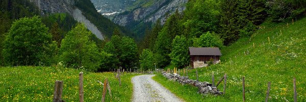 Drzewa, Domek, Mgła, Alpy Berneńskie, Góry, Szwajcaria, Gimmelwald, Droga, Ogrodzenie