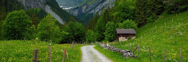 Drzewa, Domek, Mgła, Alpy Berneńskie, Góry, Szwajcaria, Gimmelwald, Droga, Ogrodzenie