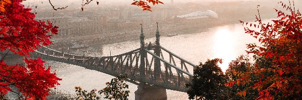 Węgry, Most Wolności, Budapeszt, Jesień, Rzeka Dunaj