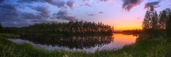 Zakole, Las, Rzeka, Zachód słońca, Drzewa