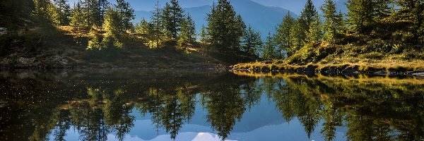 Góry, Drzewa, Las, Odbicie, Jezioro