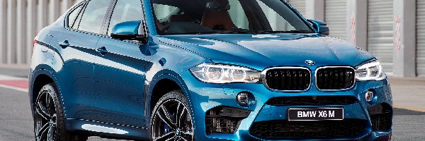 BMW X6 M, Druga generacja, F16, Niebieskie