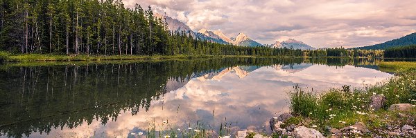 Kamienie, Prowincja Alberta, Chmury, Jezioro Upper Kananaskis Lake, Drzewa, Las, Góry Canadian Rockies, Kanada, Kananaskis Country, Roślinność