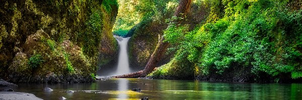 Drzewa, Skały, Rzeka Kolumbia River, Eagle Creek, Wodospad Punch Bowl Falls, Stany Zjednoczone, Stan Oregon, Kamienie, Roślinność