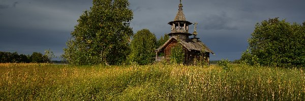 Drzewa, Kaplica Piotra i Pawła, Rosja, Karelia, Trawa, Wieś Eglowo, Wyspa Kiży, Cerkiew