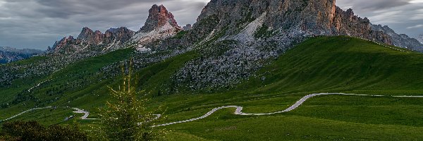 Łąki, Giau Pass, Drzewo, Góra Ra Gusela, Włochy, Dolomity, Droga, Belluno, Kręta, Góry, Kwiaty