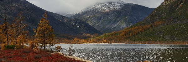 Rosja, Drzewa, Góry Kołymskie, Mgła, Jesień, Obwód magadański, Jezioro Jacka Londona