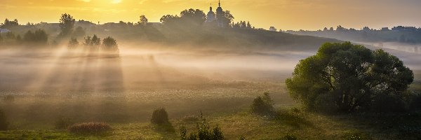 Łąki, Drzewa, Mgła, Przebijające światło, Cerkiew