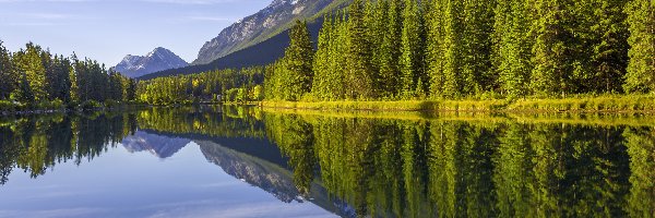 Góry, Prowincja Alberta, Bow River, Rzeka, Kanada, Drzewa, Las, Park Narodowy Banff