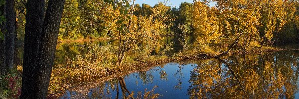 Jezioro, Drzewa, Odbicie, Jesień