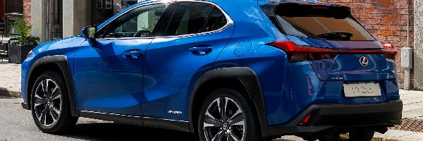 Lexus UX, Niebieski