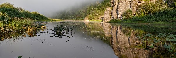 Rzeka, Drzewa, Skały, Mgła, Poranek