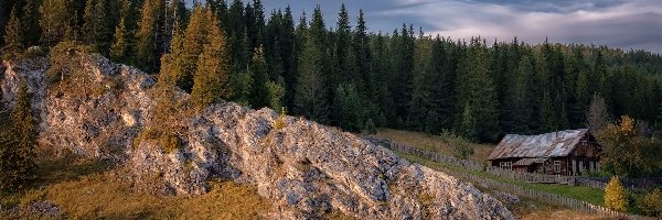 Las, Drzewa, Skała, Ogrodzenie, Dom