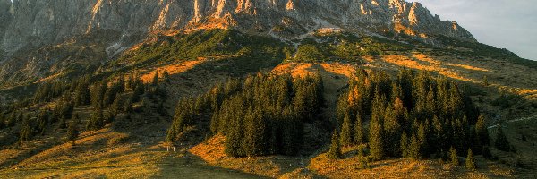 Austria, Las, Droga, Alpy Salzburskie, Góry, Zachód słońca, Szopa