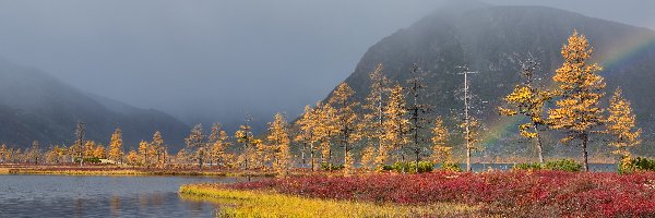 Kolorowe, Jesień, Rośliny, Tęcza, Rosja, Jezioro Jack London, Drzewa, Obwód magadański, Góry Kołymskie, Mgła, Trawy