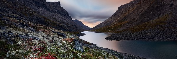 Roślinność, Obwód murmański, Góry Chibiny, Półwysep Kolski, Rosja, Jezioro Dolgoye, Góra 
Kukisvumchorr