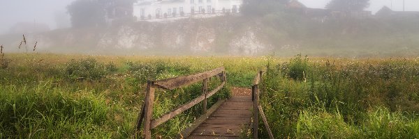 Cerkiew, Mostek, Drzewa, Mgła, Trawa