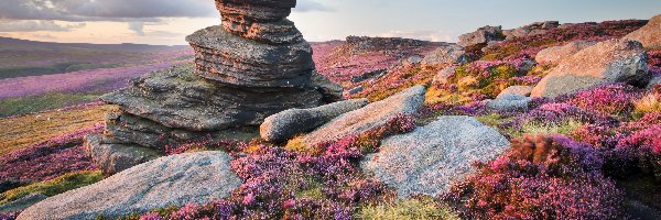 Kamienie, Wzgórze, Anglia, Hrabstwo Derbyshire, Skały, Park Narodowy Peak District, Formacja skalna Salt Cellar, Wrzosowisko