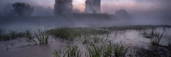 Rosja, Drzewa, Mgła, Rzeka Nerl, Cerkiew Opieki Matki Bożej, Obwód włodzimierski, Okolice Bogolubowa