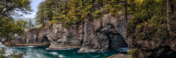 Drzewa, Morze, Stany Zjednoczone, Stan Waszyngton, Skały, Jaskinie, Przylądek Cape Flattery, Park Narodowy Olympic