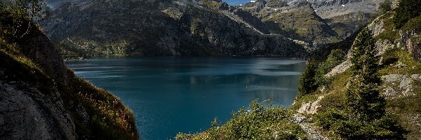 Szwajcaria, Świerki, Trawa, Jezioro Lac dEmosson, Góry Alpy, Kanton Valais, Chmury