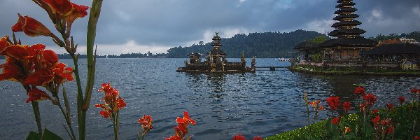 Indonezja, Jezioro Bratan, Czerwone, Pura Ulun Danu Beratan, Świątynia, Wyspa Bali, Kwiaty