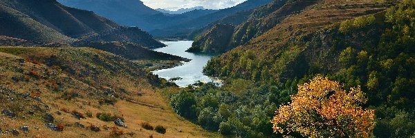 Kaukaz, Bylym, Rosja, Kabardo-Bałkaria, Góry, Drzewo, Lasy, Jezioro Bylymskoje