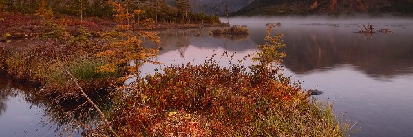 Jezioro Jack London, Góry Kołymskie, Kolorowa, Drzewa, Jesień, Rosja, Magadan, Roślinność, Kołyma