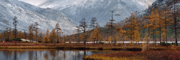 Mgła, Jezioro Jacka Londona, Rosja, Magadan, Góry, Drzewa, Kołyma, Jesień