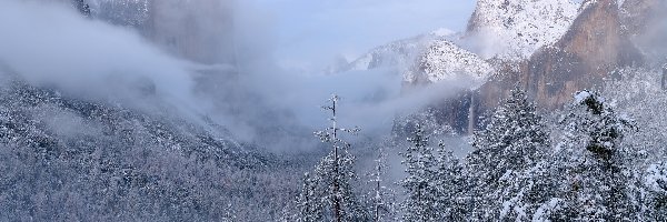 Góry, Lasy, Dolina Yosemite Valley, Park Narodowy Yosemite, Zima, Stany Zjednoczone, Stan Kalifornia, Drzewa, Mgła