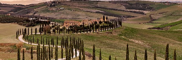 Domy, Toskania, Cyprysy, Drzewa, Hotel, Agriturismo Baccoleno, Wzgórza, Włochy, Prowincja Siena, Droga