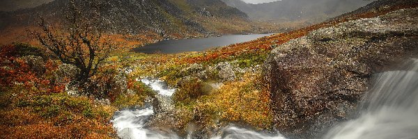 Dolina, Góry, Park Narodowy Snowdonia, Jezioro Ogwen, Walia, Jesień, Skały, Chmury, Rzeka, Szczyt Tryfan, Roślinność