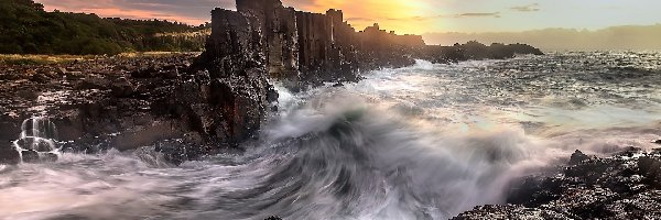 Drzewa, Skały, Formacja skalna, Morze, Zachód słońca, Australia, Kiama, Bombo Headland Quarry, Bombo