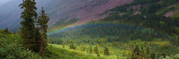 Drzewa, Maroon Bells, Stany Zjednoczone, Kolorado, Wzgórza, Krzewy, Tęcza, Góra