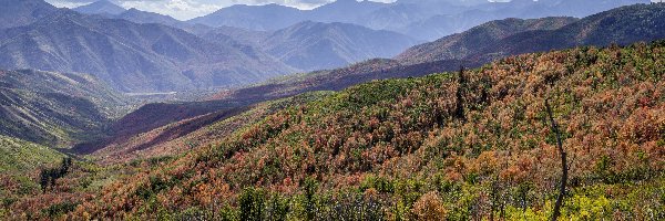 Wzgórza, Góry Wasatch, Stany Zjednoczone, Krzewy, Chmury, Kolorowe, Rośliny, Jesień, Niebo, Stan Utah