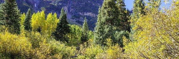 Drzewa, Góra, Stany Zjednoczone, Stan Kolorado, Maroon Bells, Krzewy, Kamienie, Rzeka Maroon Creek