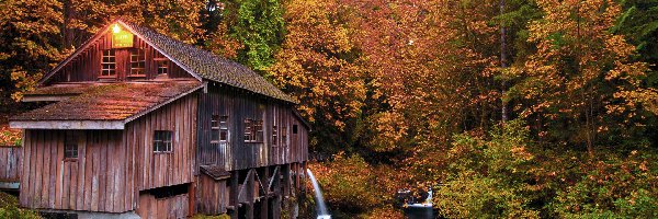 Las, Rzeka, Stany Zjednoczone, Stan Waszyngton, Drzewa, Jesień, Woodland, Młyn Cedar Creek Grist Mill