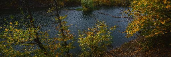 Jezioro, Wysepka, Góry, Liście, Drzewa