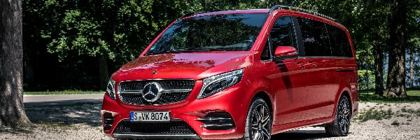 2019, Mercedes-Benz V AMG Line, Czerwony