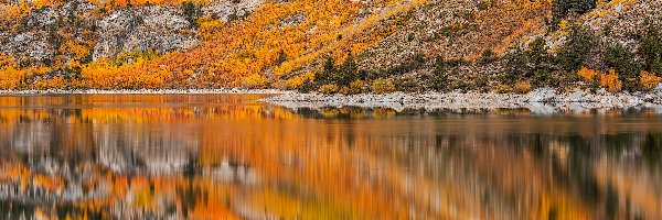 Jesień, Lake Sabrina, Stany Zjednoczone, Stan Kalifornia, Góra, Lasy, Bishop, Jezioro