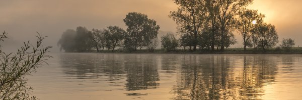 Jezioro, Drzewa, Mgła, Zachód słońca