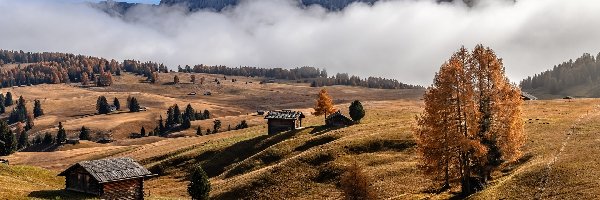 Domy, Dolomity, Dolina Val Gardena, Płaskowyż Seiser Alm, Włochy, Jesień, Mgła, Góry Sassolungo, Drzewa