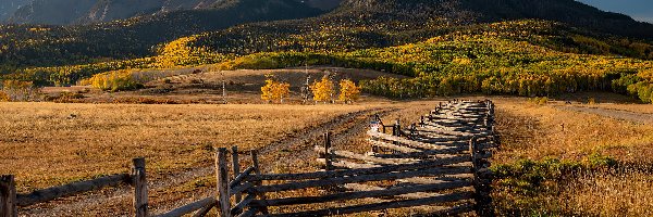 Łąki, Góra Sneffels Range, San Juan Mountains, Jesień, Płot, Kolorado, Pola, Ogrodzenie, Droga, Stany Zjednoczone, Lasy, Góry Skaliste