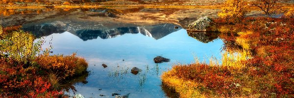 Drzewa, Góry, Norwegia, Park Narodowy Rondane, Jezioro, Roślinność, Odbicie, Jesień