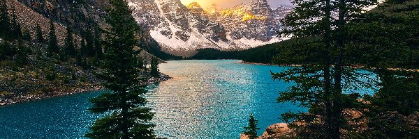 Dolina Dziesięciu Szczytów, Dolina Valley of the Ten Peaks, Park Narodowy Banff, Alberta, Kanada, Góry, Drzewa, Jezioro Moraine, Las