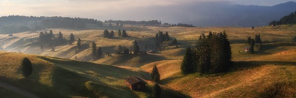 Mgła, Dolina Val Gardena, Dolomity, Góry Sassolungo, Płaskowyż Seiser Alm, Włochy, Drzewa, Wzgórza, Domy